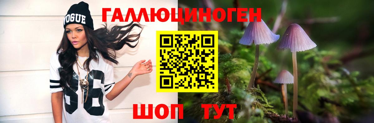 Чебаркуль  Псилоцибиновые грибы Cubensis  Вход с VPN 